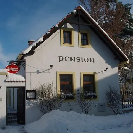 Cesky Statek Гостевой дом 3*