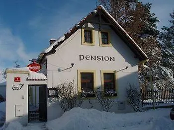 Guest house Cesky Statek 3*