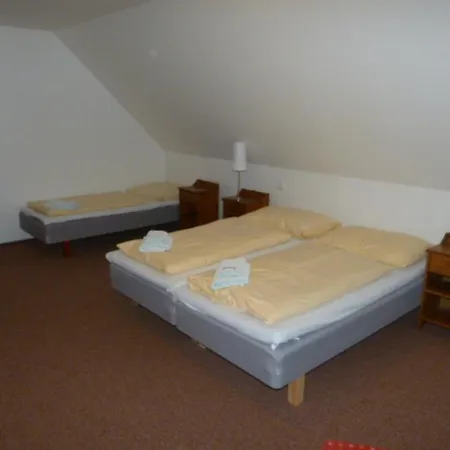Guest house Cesky Statek 3*