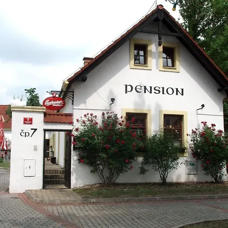 Guest house Cesky Statek 3*