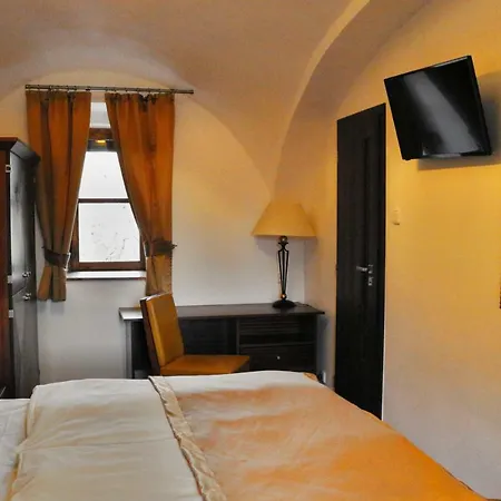 Cesky Statek Guest house 3*
