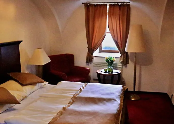 Pensjonat Cesky Statek Praga