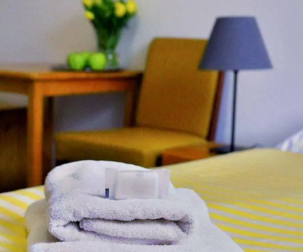 Pensionat Cesky Statek 3*