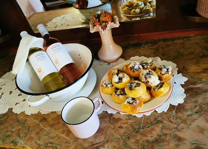 Pensionat Cesky Statek 3*