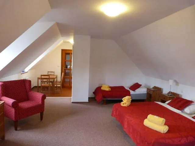 Gasthuis Cesky Statek Praag