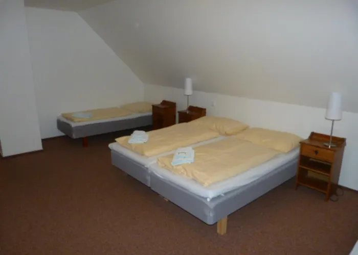 Gasthuis Cesky Statek 3*