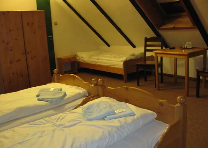 Cesky Statek 3*